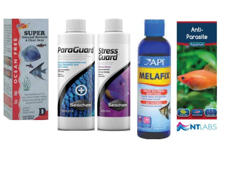 Best Fish Medicine Seachem, API, NT Labs, Ocean Free